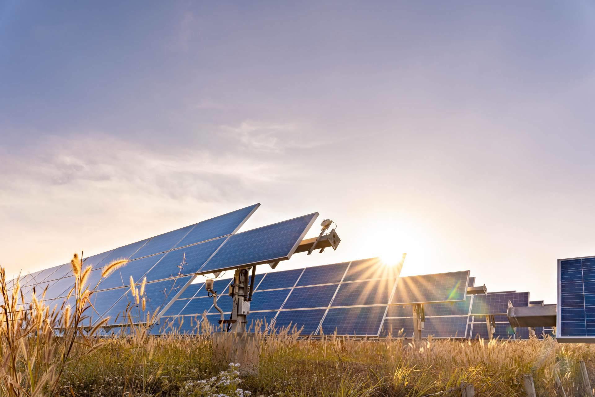 VPS España refuerza seguridad en parques solares con tecnología