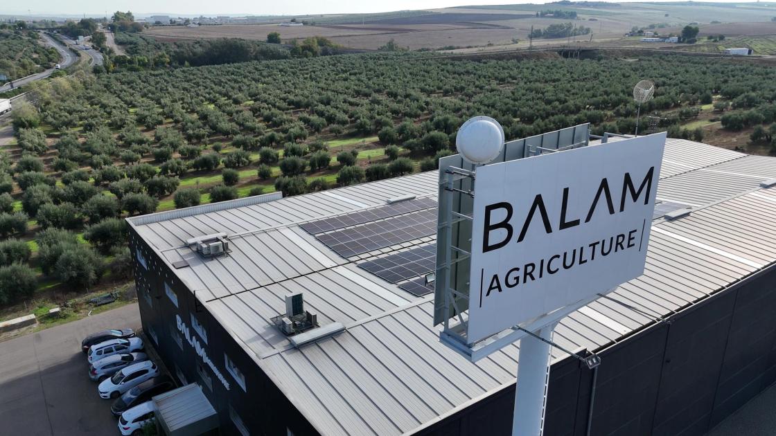 BALAM Agriculture consolida su liderazgo con la familia Gálvez Hidalgo al frente