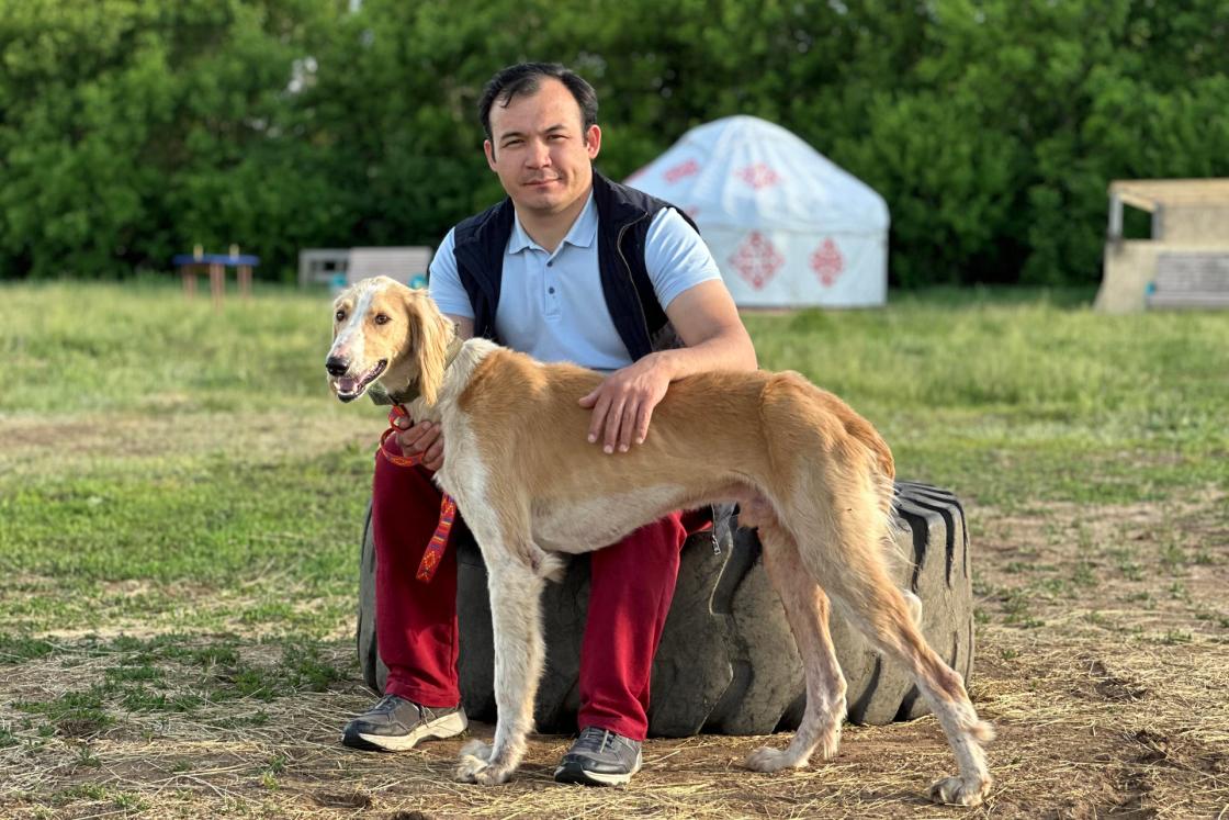 Kazakhstan is working to restore the population of its national dog breed, the Tazy, a type of sighthound also trained for nomadic herding and wolf hunting. EFE/ Kulpash Konyrov
