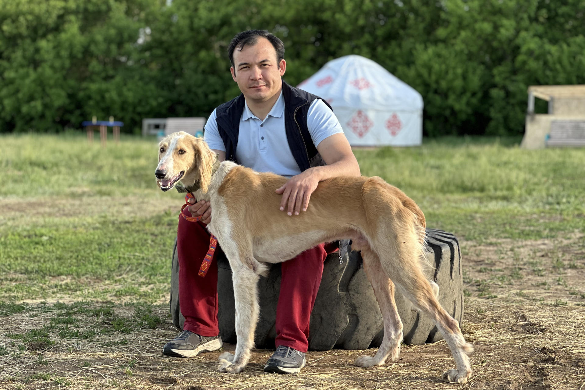 Kazakhstan is working to restore the population of its national dog breed, the Tazy, a type of sighthound also trained for nomadic herding and wolf hunting. EFE/ Kulpash Konyrov