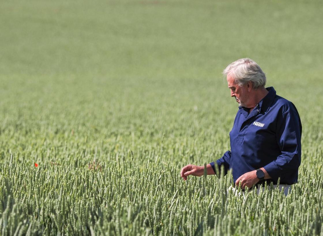 Villarmentero de Esgueva (Valladolid), 5 jun (EFE).- Nestlé ha apostado por la agricultura regenerativa para garantizar la máxima calidad y sostenibilidad de sus productos, a través de un programa en el que colaboran 23 agricultores de Castilla y León. EFE/NESTLÉ/IMAGEN CEDIDA/CRÉDITO OBLIGATORIO