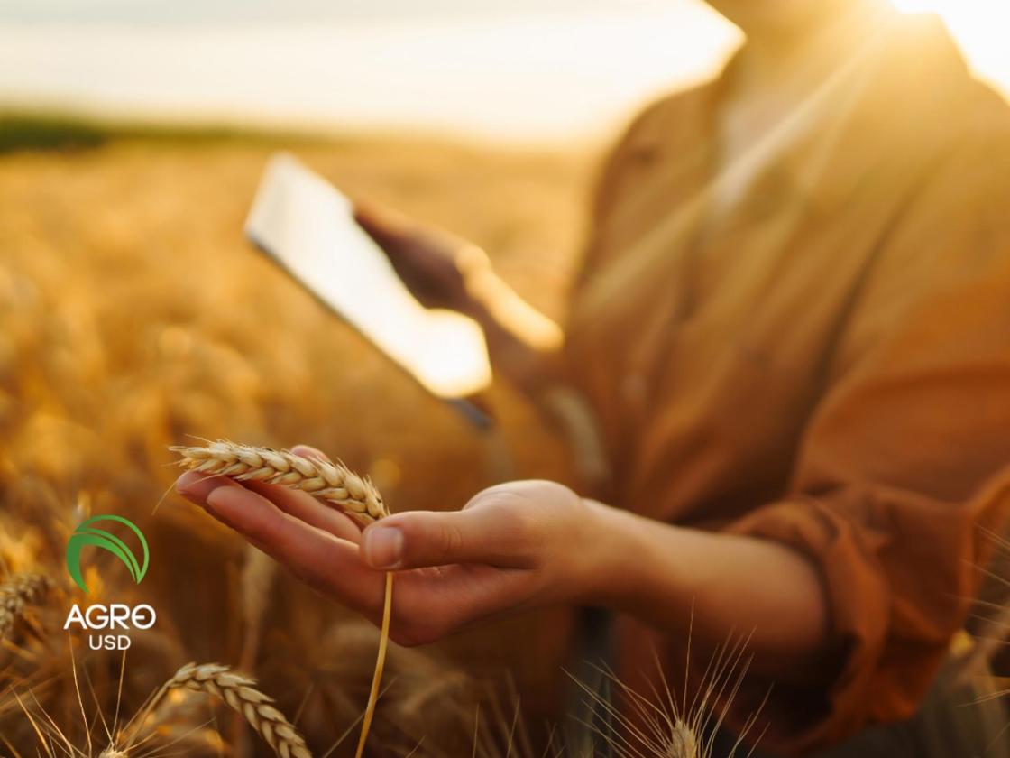 Pie de foto: AgroUSD impulsa autonomía financiera en el campo 
Autor: AgroUSD"