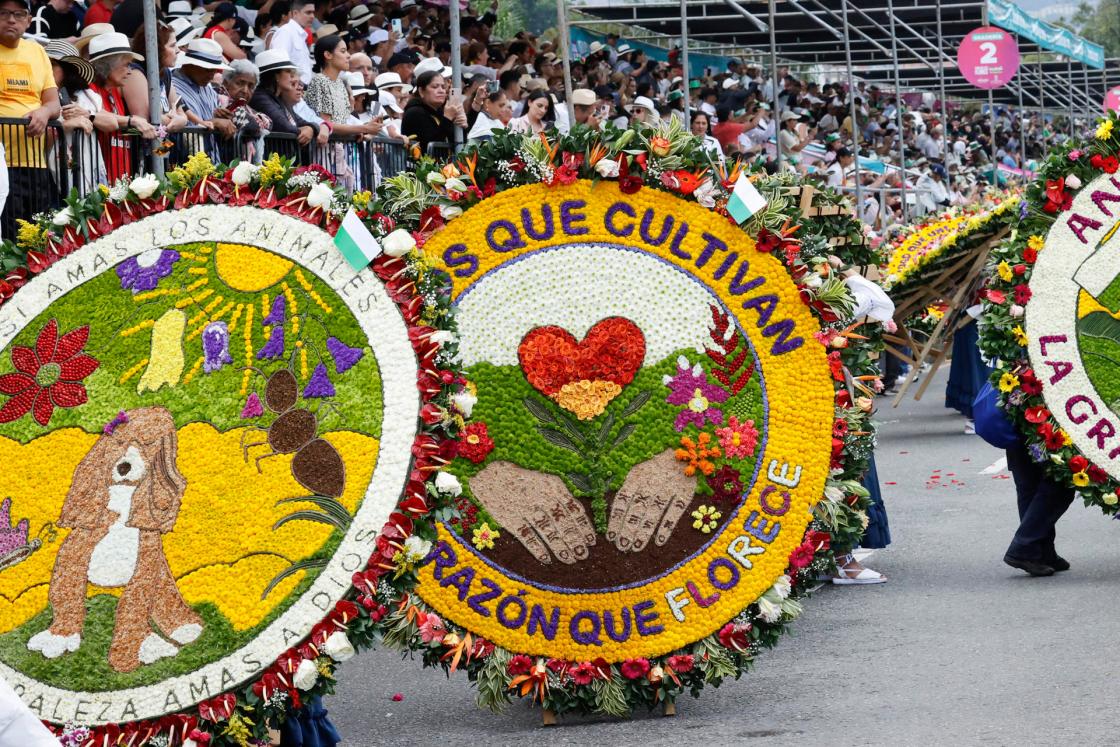 Silleteros participan en el Desfile de Silleteros durante la Feria de las Flores 2025 este domingo, en Medellín (Colombia). EFE/ Mauricio Dueñas Castañeda