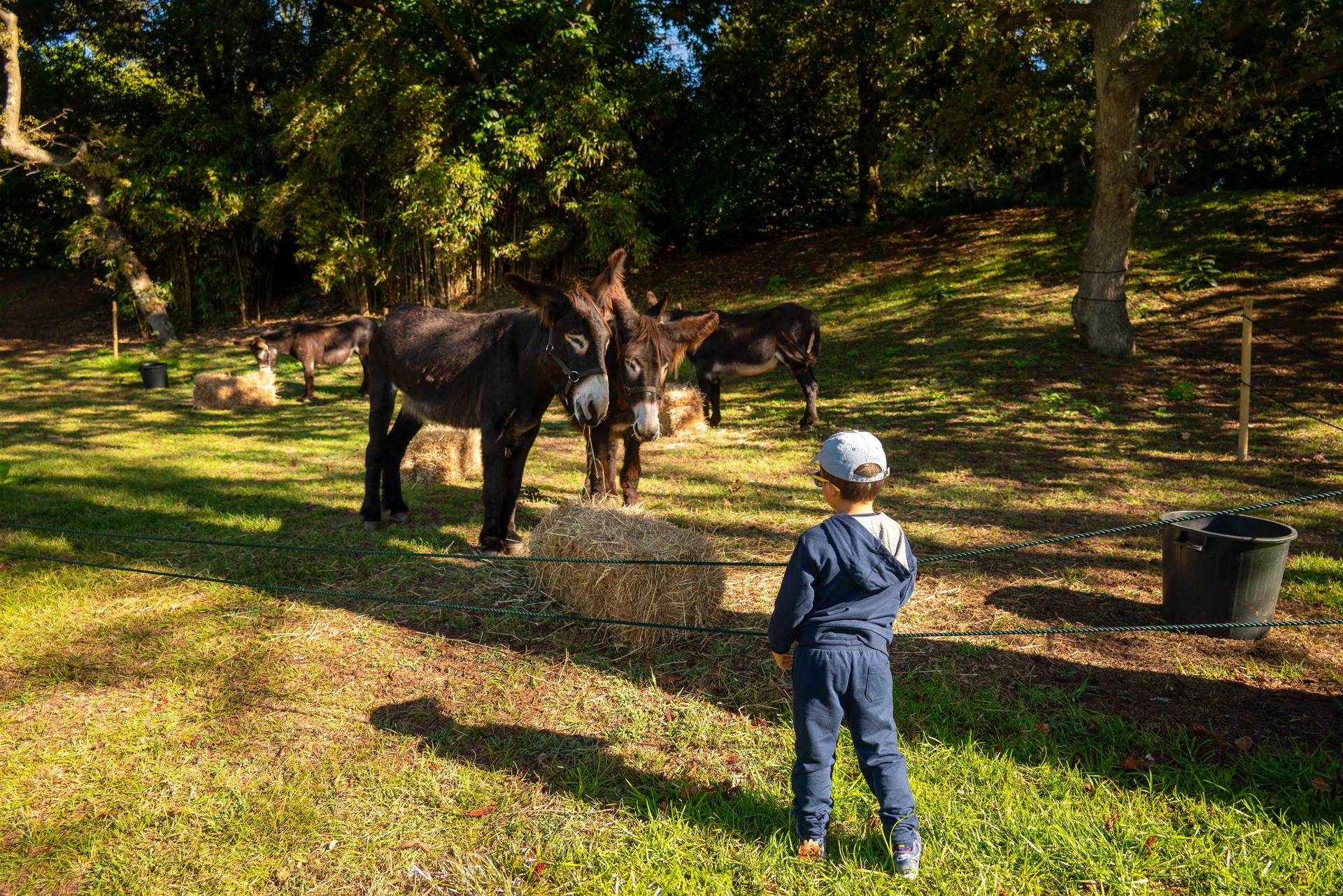 La Fundación Serralves, en Oporto (Portugal), acogerá más de un centenar de actividades y espectáculos sobre arte, naturaleza y tradiciones ancestrales ligadas a las Tierra para celebrar la llegada del otoño y hacer reflexionar sobre el impacto de la humanidad en el planeta. EFE/FUNDACIÓN SERRALVES/IMAGEN CEDIDA/CRÉDITO OBLIGATORIO/USO SOLO PARA LA NOTICIA QUE ACOMPAÑA