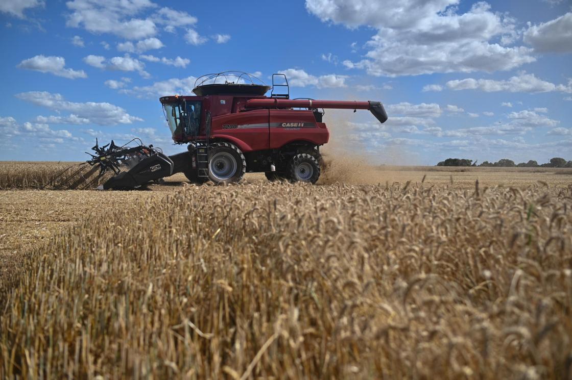 File photo dated August 19, 2023, showing a wheat harvest in a rural area of Brasília (Brazil). EFE/ Andre Borges FILE 