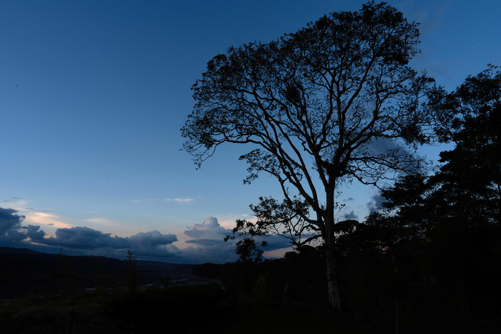 Fotografía de una paisaje de la Amazonía de Ecuador que forma parte de la comunidad de Kuchants, del pueblo indígena shuar este martes, en la provincia de Morona Santiago (Ecuador). EFE/ Santiago Fernández