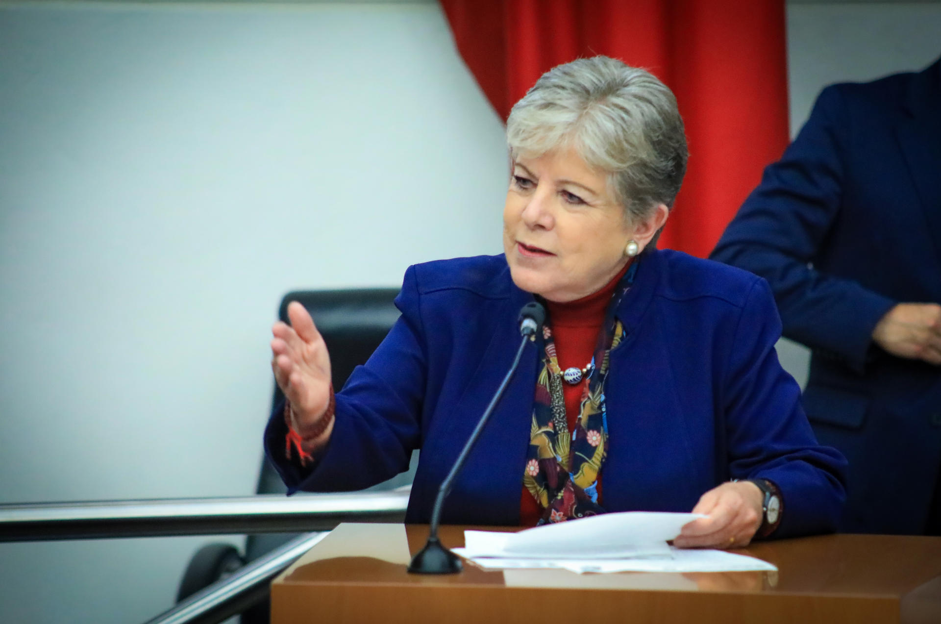 La secretaria de Medio Ambiente y Recursos Naturales de México, Alicia Bárcena, durante una sesión en el Senado de la República en Ciudad de México (México). EFE/ Semarnat /SOLO USO EDITORIAL/ NO VENTAS/ SOLO DISPONIBLE PARA ILUSTRAR LA NOTICIA QUE ACOMPAÑA (CRÉDITO OBLIGATORIO)