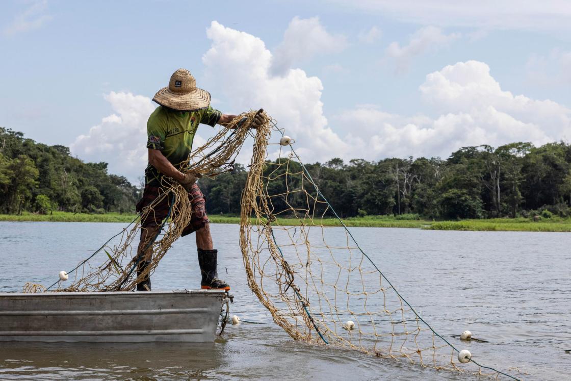 Fotografía cedida por la Organización de las Naciones Unidas para la Alimentación y la Agricultura (FAO), que muestra a un pescador preparando una red en un lago de la Reserva de Desarrollo Sustentable Amanã (Brasil). EFE/ Organización de las Naciones Unidas para la Alimentación y la Agricultura /SOLO USO EDITORIAL NO VENTAS /SOLO DISPONIBLE PARA ILUSTRAR LA NOTICIA QUE ACOMPAÑA (CRÉDITO OBLIGATORIO)
