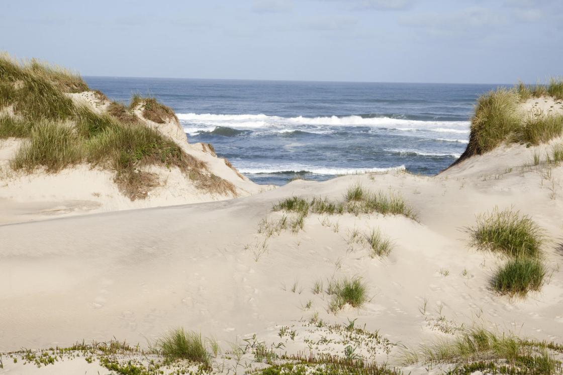 Leiria, una región portuguesa bañada por el atlántico al norte de Lisboa, muestra sus excelencias turísticas en la feria de turismo INTUR de Valladolid, con el fin de exhibir destinos de naturaleza como la playa atlántica del Osso da baleia o la playa fluvial de Castanheira de Pera. EFE/CIM Región de Leiria /IMAGEN CEDIDA/CRÉDITO OBLIGATORIO 