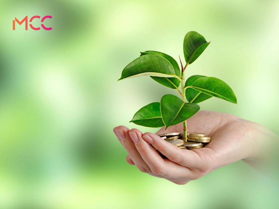 MCC Banking apuesta por la sostenibilidad Autor: MCC Banking