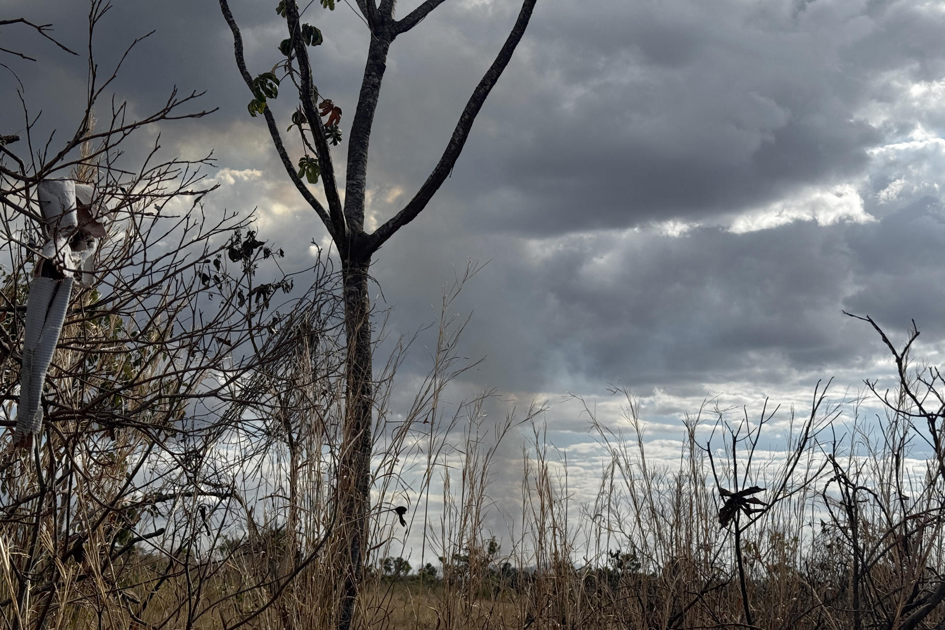 Los brigadistas comunitarios de Brasil enfrentan en la actualidad crecientes dificultades derivadas de sus precarias condiciones laborales y de la falta de financiamiento. EFE/ Ana María Vela/Fundación Avina /SOLO USO EDITORIAL/NO VENTAS/ SOLO DISPONIBLE PARA ILUSTRAR LA NOTICIA QUE ACOMPAÑA (CRÉDITO OBLIGATORIO)