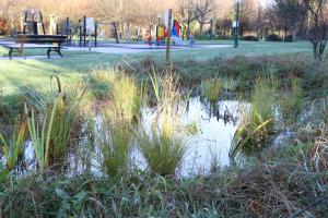 TORRELAVEGA (CANTABRIA), 18/12/2025.-Durante décadas, Torrelavega ha sido industria, asfalto y hormigón, pero ese paisaje comienza a transformarse con patios escolares que reverdecen, parques urbanos que recuperan su función y pequeños humedales que enseñan a la capital del río Besaya a respirar de nuevo. Impulsado por el Ayuntamiento de Torrelavega y financiado con fondos europeos destinados a ese municipio por la Fundación Biodiversidad y el Gobierno de España, el proyecto Torrelavega Corredor Natural dispone de dos millones de euros para ejecutar tres grandes ejes.-EFE/ Celia Agüero Pereda