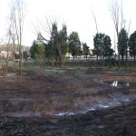 TORRELAVEGA (CANTABRIA), 18/12/2025.-Durante décadas, Torrelavega ha sido industria, asfalto y hormigón, pero ese paisaje comienza a transformarse con patios escolares que reverdecen, parques urbanos que recuperan su función y pequeños humedales que enseñan a la capital del río Besaya a respirar de nuevo. Impulsado por el Ayuntamiento de Torrelavega y financiado con fondos europeos destinados a ese municipio por la Fundación Biodiversidad y el Gobierno de España, el proyecto Torrelavega Corredor Natural dispone de dos millones de euros para ejecutar tres grandes ejes.-EFE/ Celia Agüero Pereda