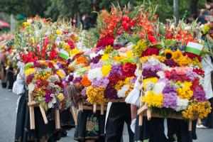 Fotografía sin fecha específica de toma cedida por Greater Medellín Convention & Visitors Bureau que muestra un desfile de silleteros en Medellín (Colombia). EFE/ Camilo Duque Dazzy/ Greater Medellín Convention & Visitors Bureau /SOLO USO EDITORIAL/ NO VENTAS/ SOLO DISPONIBLE PARA ILUSTRAR LA NOTICIA QUE ACOMPAÑA (CRÉDITO OBLIGATORIO)