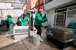 Fotografía del 29 de noviembre de 2025 que muestra a personas voluntarias de la compañía energética Iberdrola haciendo labores de limpieza en el albergue del voluntariado "Dando una patita a Lea y Maya" durante una visita de Iberdrola en San Mateo Atenco (México). EFE/José Méndez