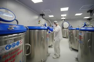 Fotografía cedida por Biogénesis Bagó que muestra a un funcionario del banco de antígenos de Biogénesis Bagó, en Buenos Aires (Argentina). EFE/ Biogénesis Bagó /SOLO USO EDITORIAL/ NO VENTAS/ SOLO DISPONIBLE PARA ILUSTRAR LA NOTICIA QUE ACOMPAÑA (CRÉDITO OBLIGATORIO)