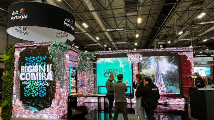 La mata de Buçaco, un pulmón en la región metropolitana de Coímbra