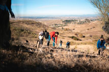 AEDAS Homes planta otros 5.211 árboles en 2025 y el Bosque AEDAS Homes  ya supera los 15.800 en todo el país