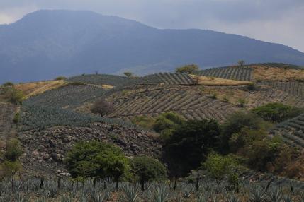 Jalisco se presenta ante el Reino Unido como «la esencia y la identidad de México»