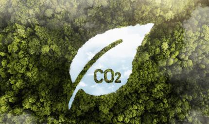 Nueva obligación para grandes empresas: el cálculo de la huella de carbono, según Ness