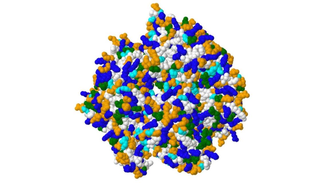 Pie de foto: Visualización de la propiedad mosaico Q en una proteína.Autor: Proteins Mosaic Q Project