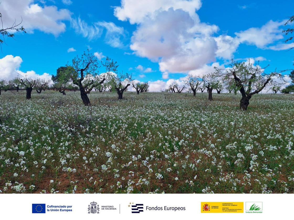 Imagen del proyecto y logos de sus financiadoresAutor: ESIL