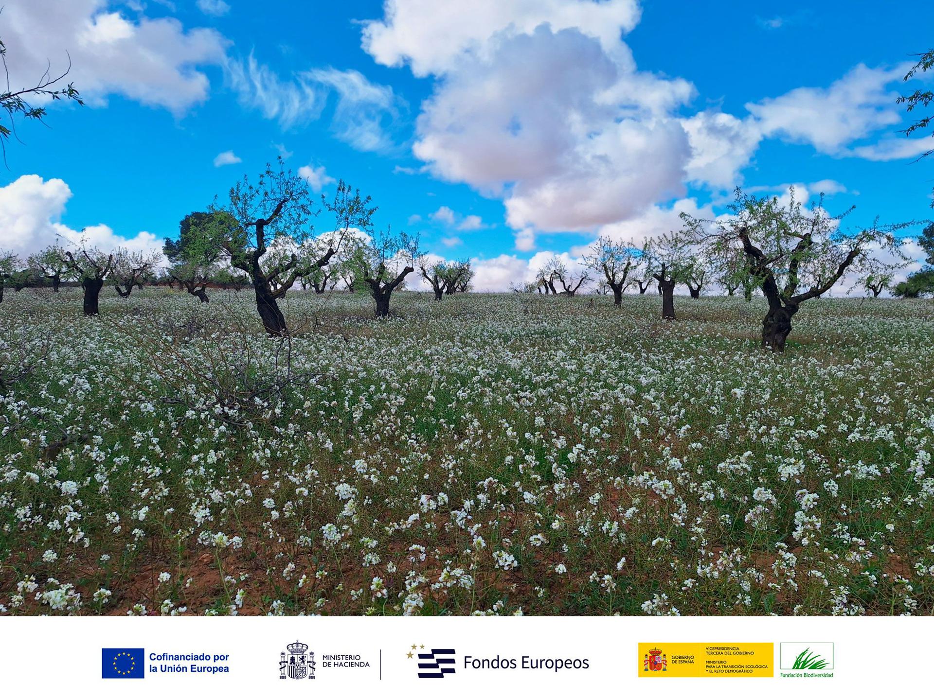 Imagen del proyecto y logos de sus financiadoresAutor: ESIL