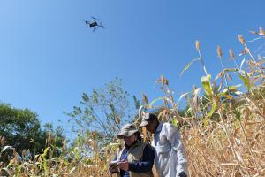 Fotografía cedida por la Organización de las Naciones Unidas para la Alimentación y la Agricultura (FAO) que muestra personas manejando un drone, en Choluteca (Honduras). EFE/ Katya Erazo Ramos/ FAO /SOLO USO EDITORIAL/ NO VENTAS/ SOLO DISPONIBLE PARA ILUSTRAR LA NOTICIA QUE ACOMPAÑA (CRÉDITO OBLIGATORIO)