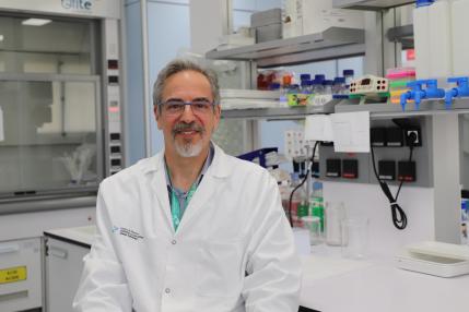 Descubren un subtipo de cáncer de la sangre más letal en mujeres que en hombres y un posible tratamiento dirigido