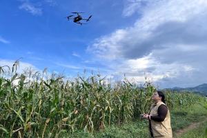 Fotografía del 8 de junio de 2021 cedida por la Organización de las Naciones Unidas para la Alimentación y la Agricultura (FAO) que muestra a una persona monitoreando cultivos y tomar datos geoespaciales de las parcelas con un dron, en Choluteca (Honduras). EFE/ Katya Erazo Ramos/ FAO /SOLO USO EDITORIAL/ NO VENTAS/ SOLO DISPONIBLE PARA ILUSTRAR LA NOTICIA QUE ACOMPAÑA (CRÉDITO OBLIGATORIO)