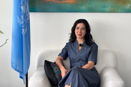 PNUD América Latina: «La renovación de nuestras democracias no va a suceder por sí sola»