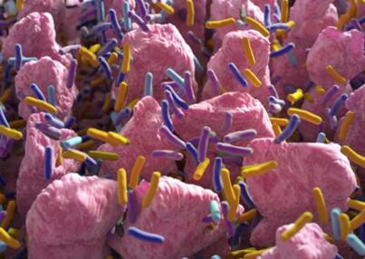 Purina Institute impulsiona a conversa sobre inovação em microbioma na medicina veterinária