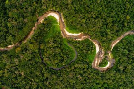 Idesam lança desafio global de P&D para transformar a biodiversidade da Amazon em negócios de impacto