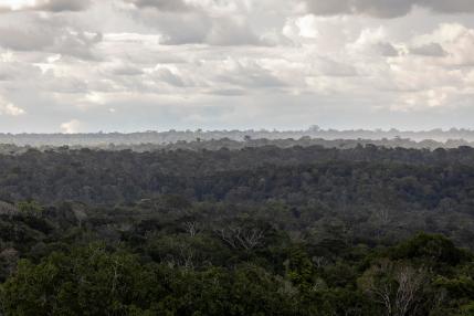 Brazil seeks to captivate foreign tourists with stunning natural landscapes
