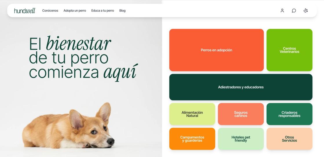Pie de foto: Hundwell, plataforma de adopción de perros en España.Autor: hundwell.com