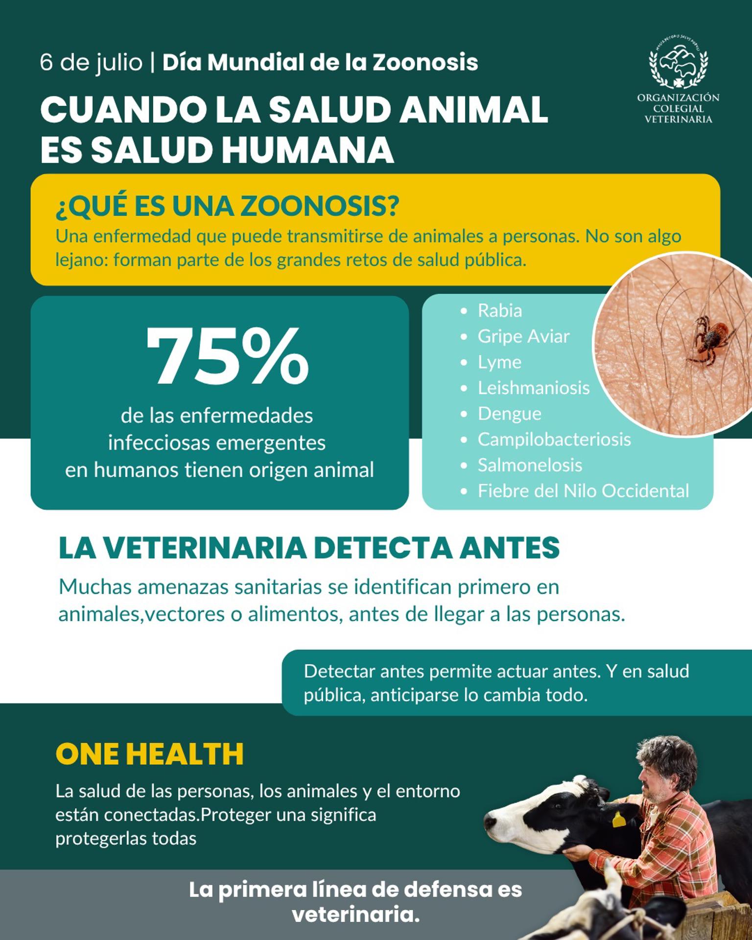 Infografía difundida por la Organización Colegial Veterinaria (OCV) por el Día Mundial de la Zoonosis, que se celebra el 6 de julio. EFE/OCV/CEDIDA/CRÉDITO OBLIGATORIO