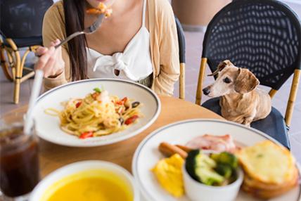 ¡Guau, qué plan! OpenTable revela los top 50 restaurantes pet-friendly en la Ciudad de México