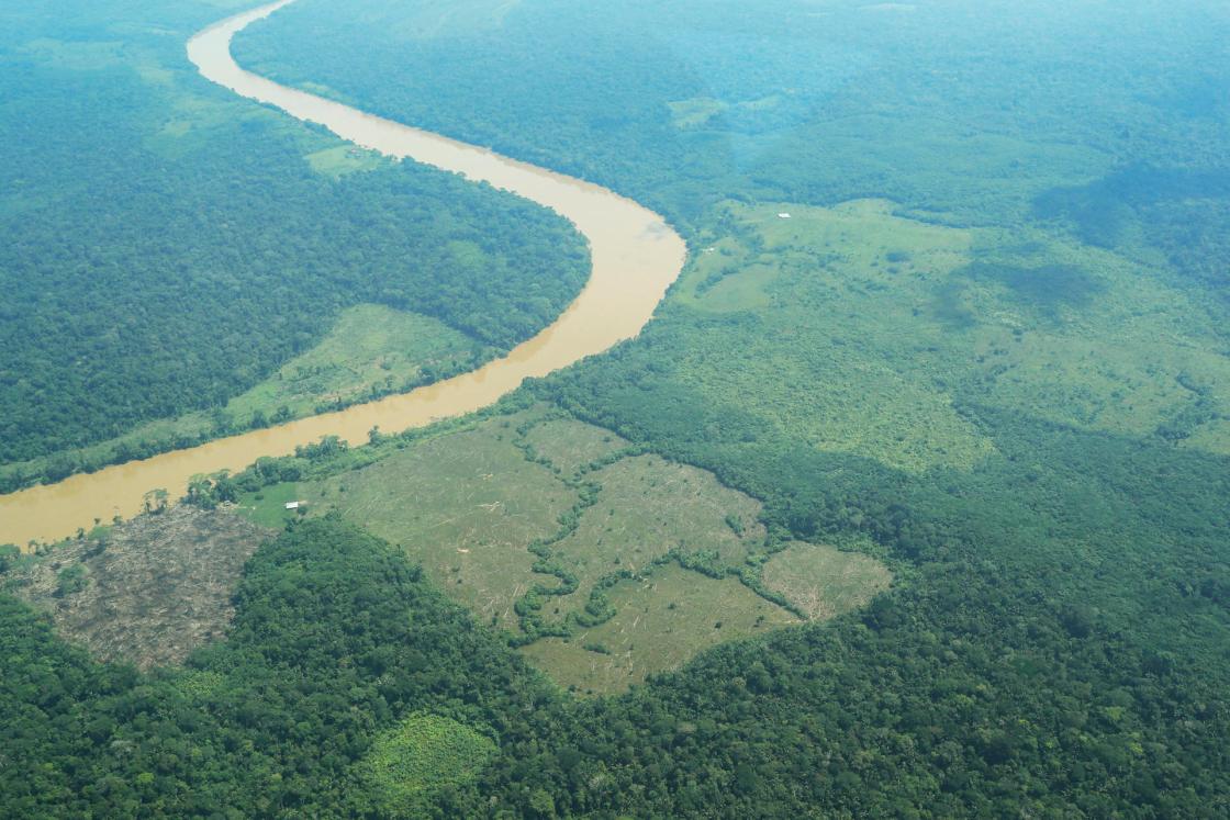 Imagen de archivo de la Amazonía colombiana. EFE/ Carlos Ortega