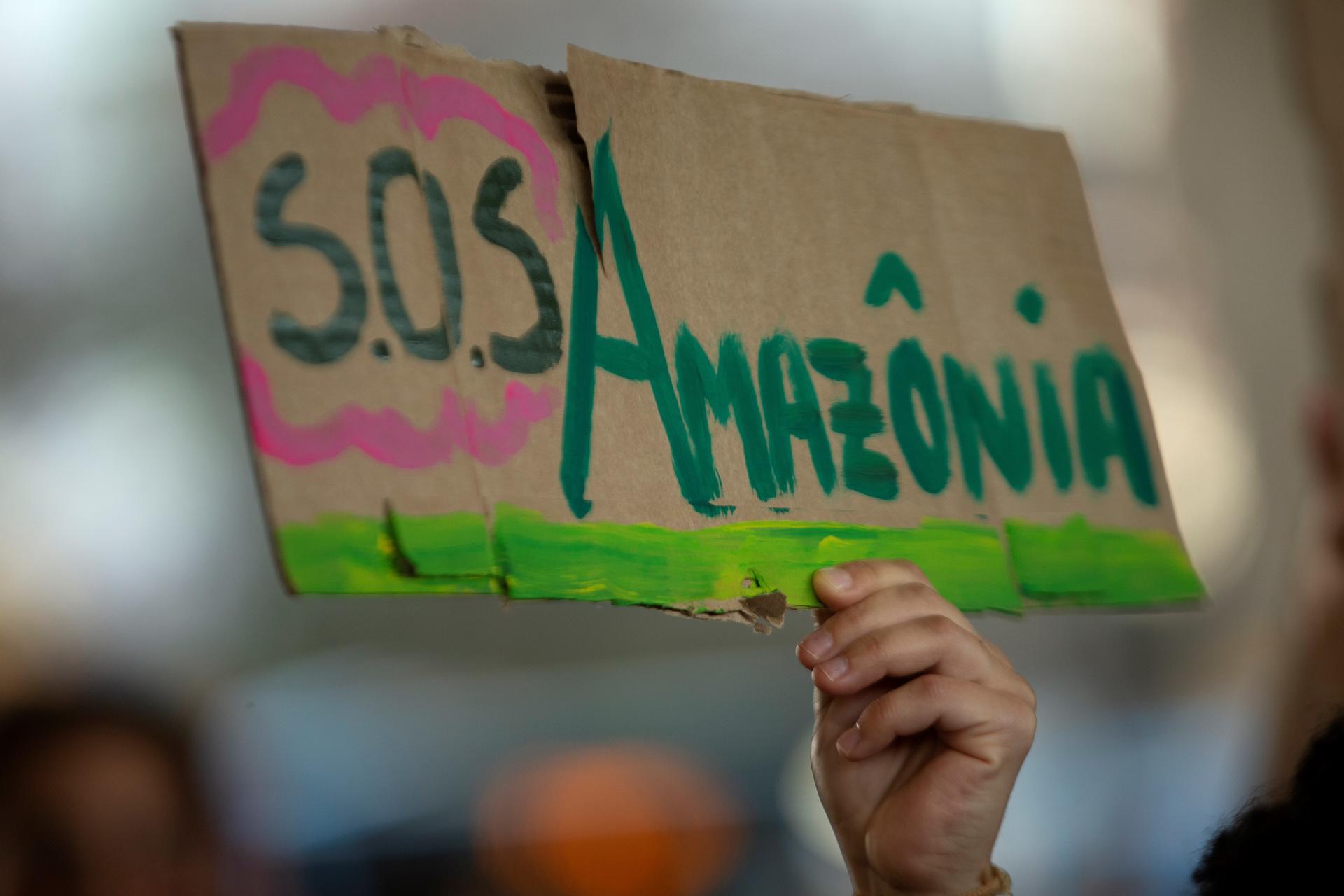 Una persona sostiene una pancarta durante el Día de la Amazonía, en la ciudad de Brasilia (Brasil). EFE/Joédson Alves.