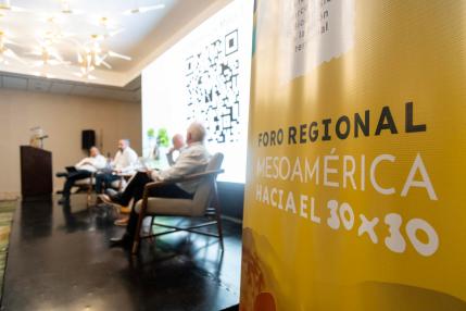 Mesoamérica traza la ruta hacia el 30×30 con una conservación efectiva y sostenible