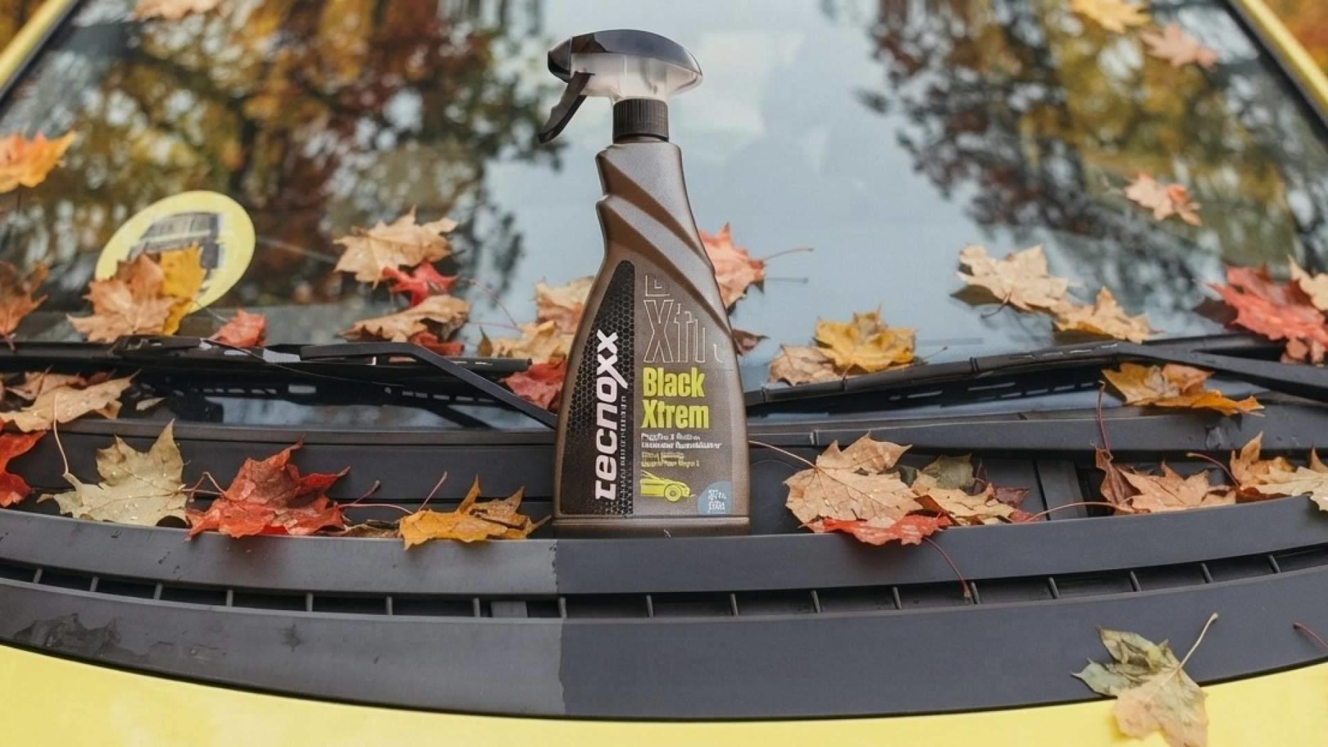 Así cambia el cuidado del coche en otoño; del antiinsectos al restaurador de plásticos, según Tecnoxx. IMAGEN: Tecnoxx Detailing