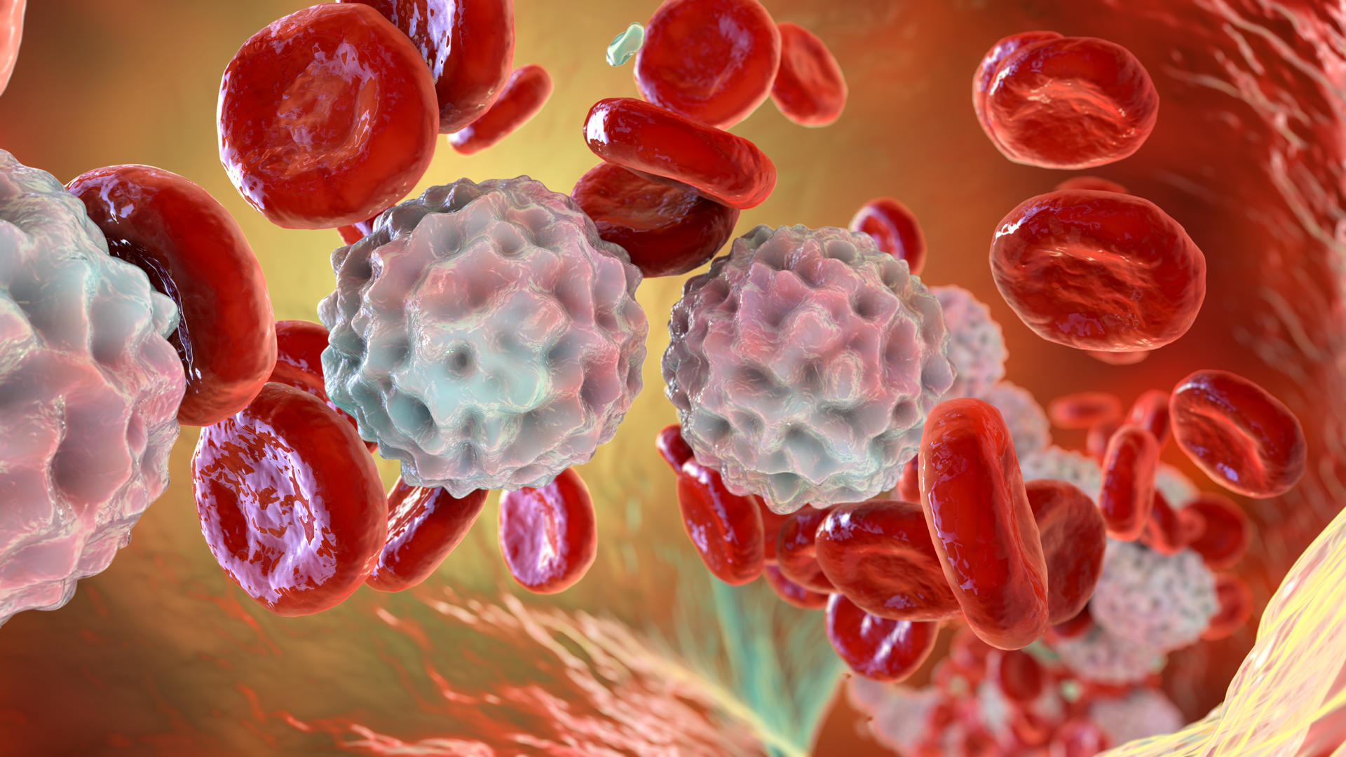 Un cansancio, infecciones o moretones sin causa aparente pueden tener múltiples causas, pero cuando estos signos se prolongan o aparecen de forma recurrente, también pueden ser una señal de una enfermedad hematológica. EFE/ Amgen /SOLO USO EDITORIAL/ NO VENTAS/ SOLO DISPONIBLE PARA ILUSTRAR LA NOTICIA QUE ACOMPAÑA (CRÉDITO OBLIGATORIO)