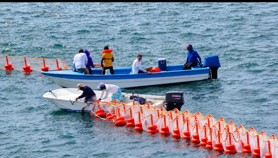 The Ocean Cleaner México impulsa soluciones integrales para contener el sargazo y reducir su impacto en el Caribe mexicano / SOLO USO EDITORIAL EFE