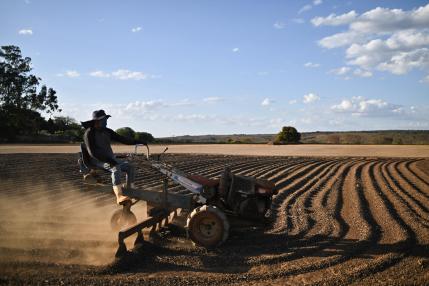 Brasil quiere crecer en Europa con alimentos de valor añadido y agricultura familiar