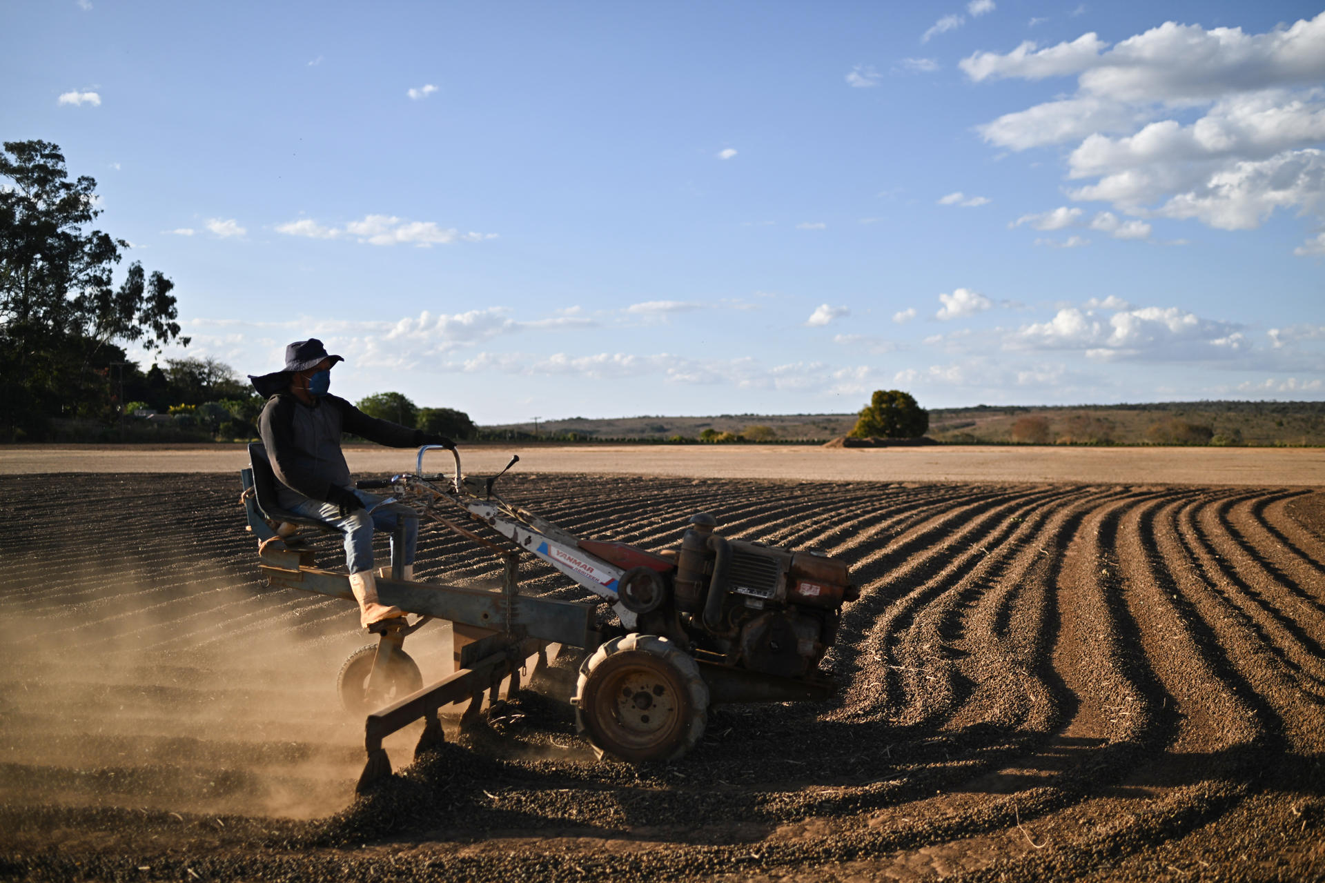 Fotografía de archivo del 6 de agosto del 2025 que muestra un hombre trabajando en el secado de granos de una plantación de café, en Brasilia (Brasil). EFE/ Andre Borges / ARCHIVO